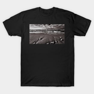 The Stunning Shores of the Sea T-Shirt